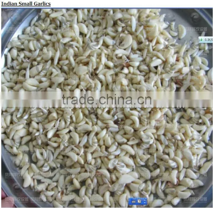 FX-128-2 high efficient double barrel garlic peeling machine