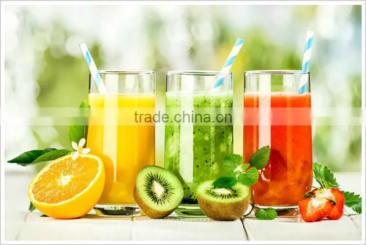 2015 Professional Mini Electric Orange Juicer Machine with CE Approved Full Stainless Steel