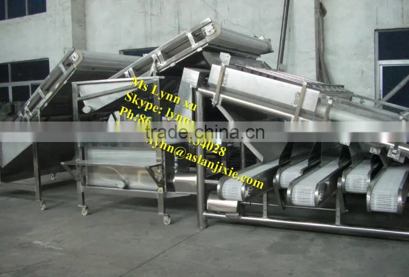 shrimp grading machine/automatic Prawn grader