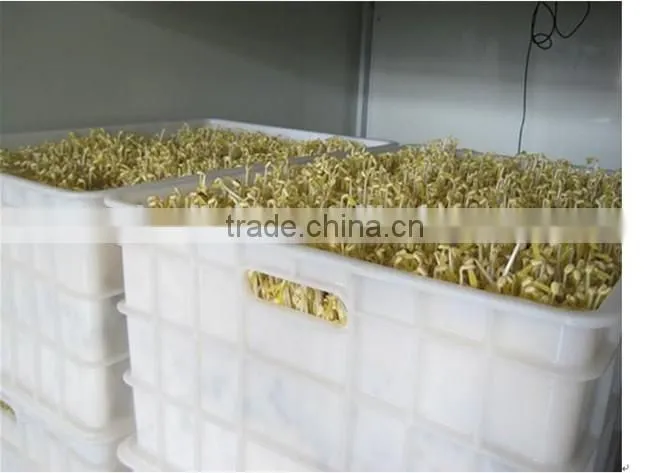automatic bean sprout machine/bean sprout growing machine