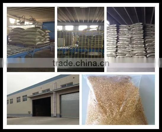 Animal Feed for Corn Germ Meal