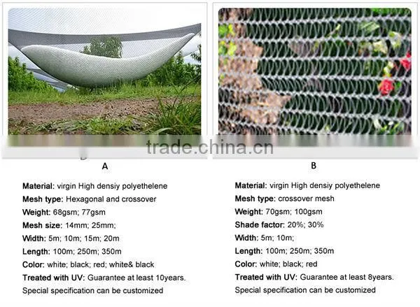 Anti-hail Net