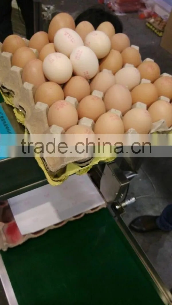 Best selling inkjet coding machine/Egg Print Machine/Egg Stamping Machine