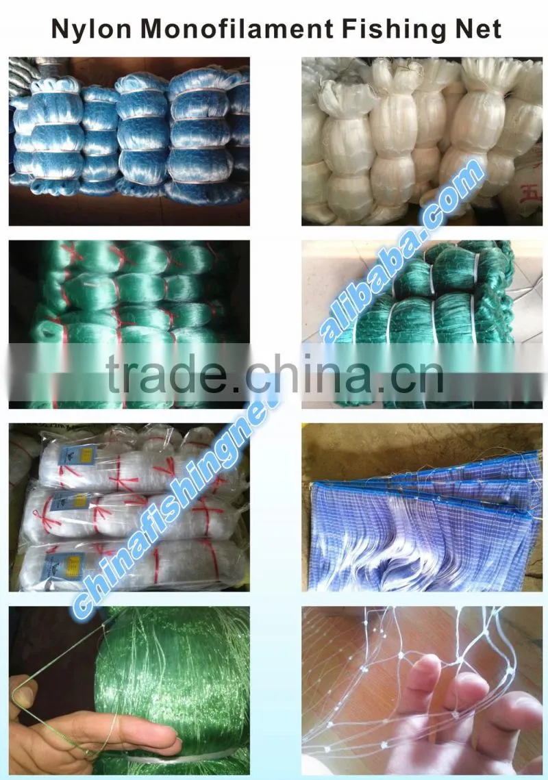 net fishing of fishing net