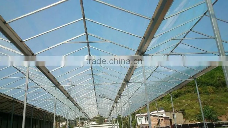 Automatic ecological temperature glass greenhouse