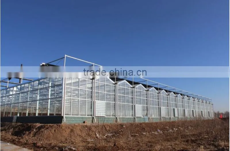China direct selling beautiful high quality Venlo greenhouse can be used to planting grows