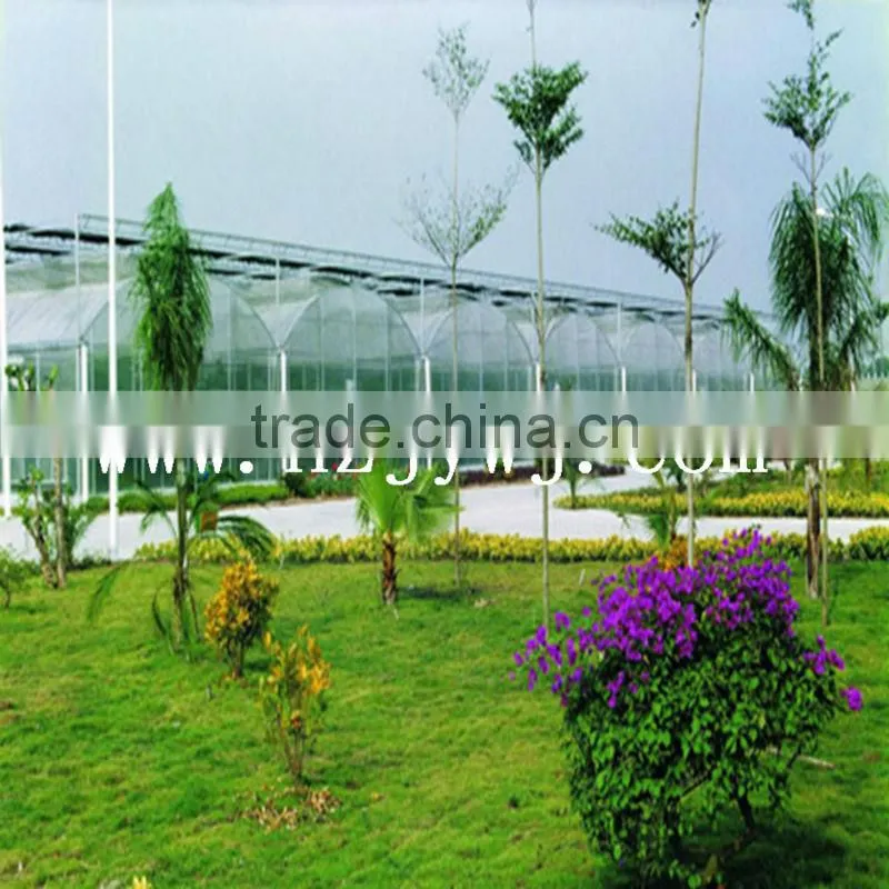 Span plastic greenhouse