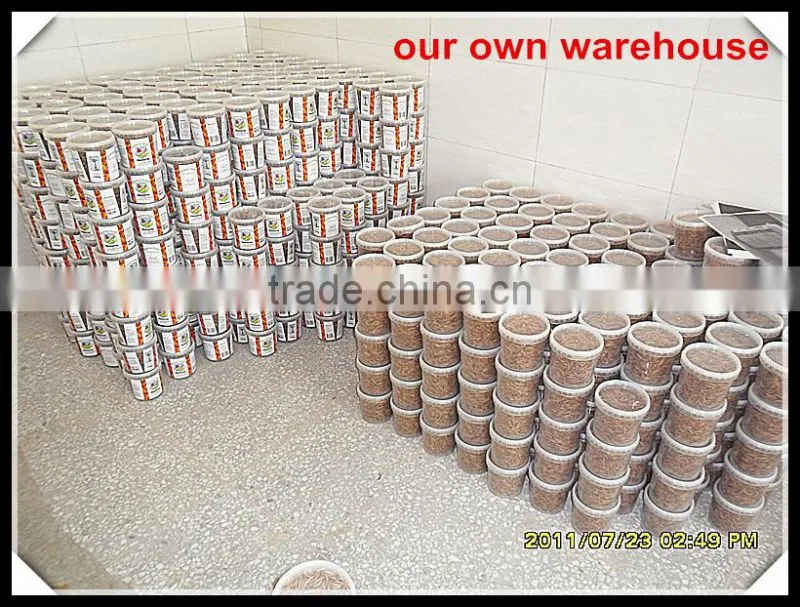 Eco-friendly Bird food Dried Mealworms;Dried Mealworms for Birdseed