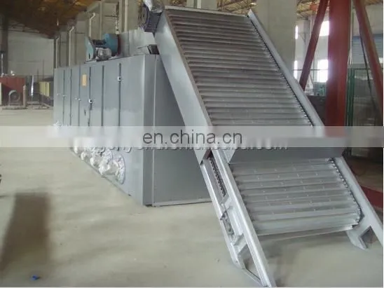 plant for raisin /dried grapes processing machine