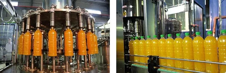 Automatic Pineapple Juice Concentrate Processing Plant
