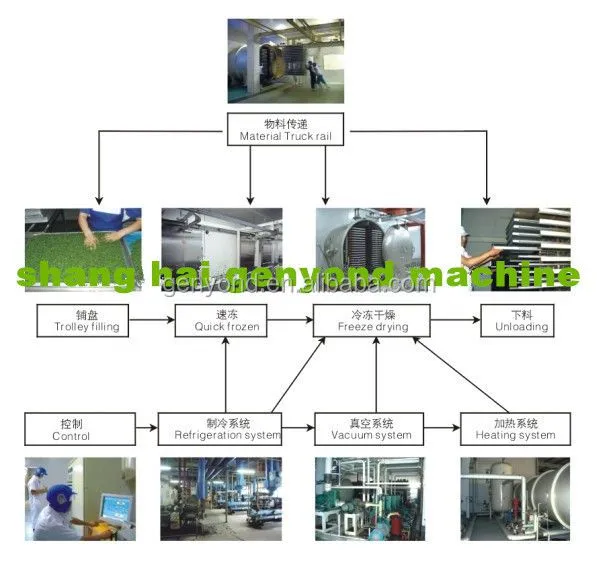 100-3000kg Dry Freezes Dried Milk Tablets Freezer Dryer Industrial Vacuum Freeze Drying Machine Dryer for Food Fruit