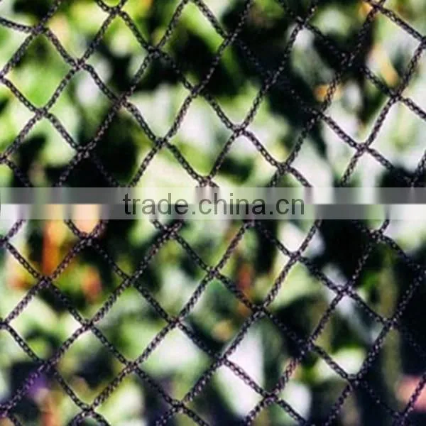 Hot! Nylon Net To Catch Birds & HDPE Anti Bird Net