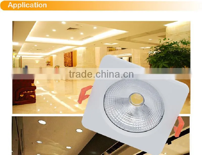 energy saving 10W IP65 led down light COB chip China