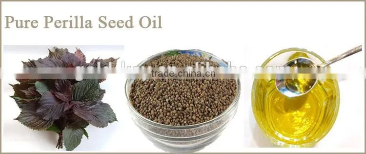 High Quality wholesale Organic Perilla Seed Oil