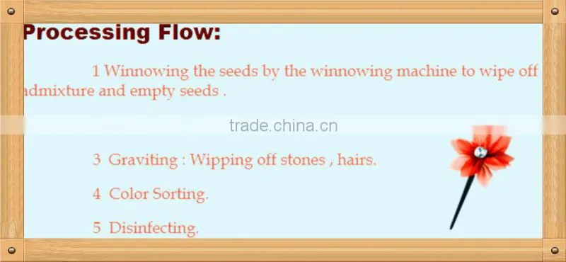 High Quality Raw Sunflower Seeds for Oil Price
