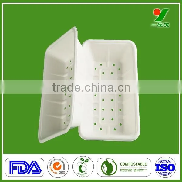 Professional Manufacturer Top Grade 90days Biodegradable Composable Hygiene Sugarcane Bagasse Molded Pulp Fruit Packaging Plates