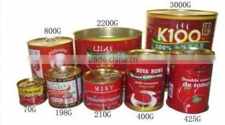 70G~3000G canned tomato paste, tomato sauce,ketchup