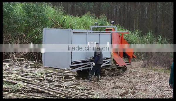 New condition brand product 6BCT-5 sugarcane leaf machine sugarcane peeling machine
