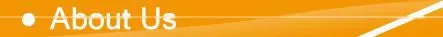 Camellia LED light umbrella double umbrella