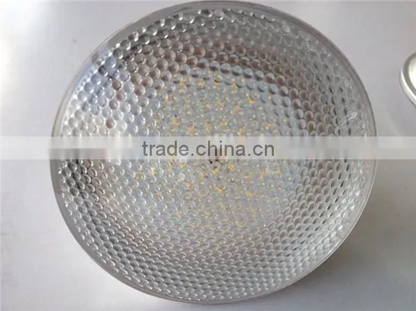 Spotlights Item Type and warm white / cool white Color Temperature(CCT) Led Par30