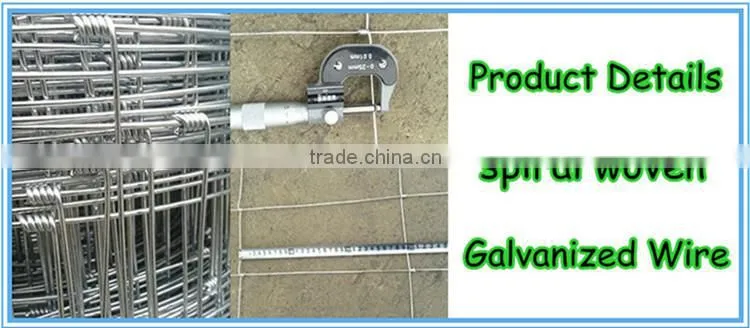 Cheap Agricutural Field Fence, Cattle Fence, animal fence from China Factory Price