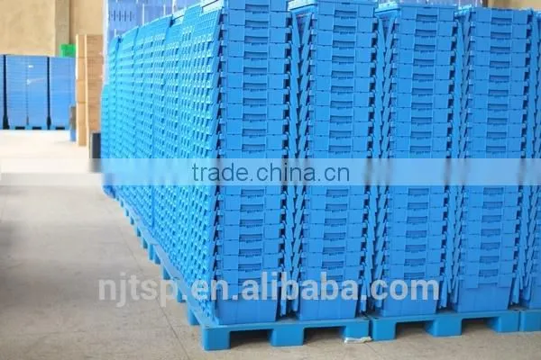 Plastic Container, Moving Containers