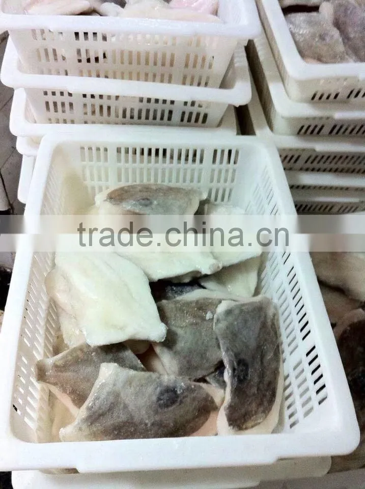 2016 Hot Top Frozen John Dory Fillet foe sale