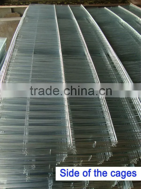 galvanzied chicken/poultry cages For Egg-laying Hens