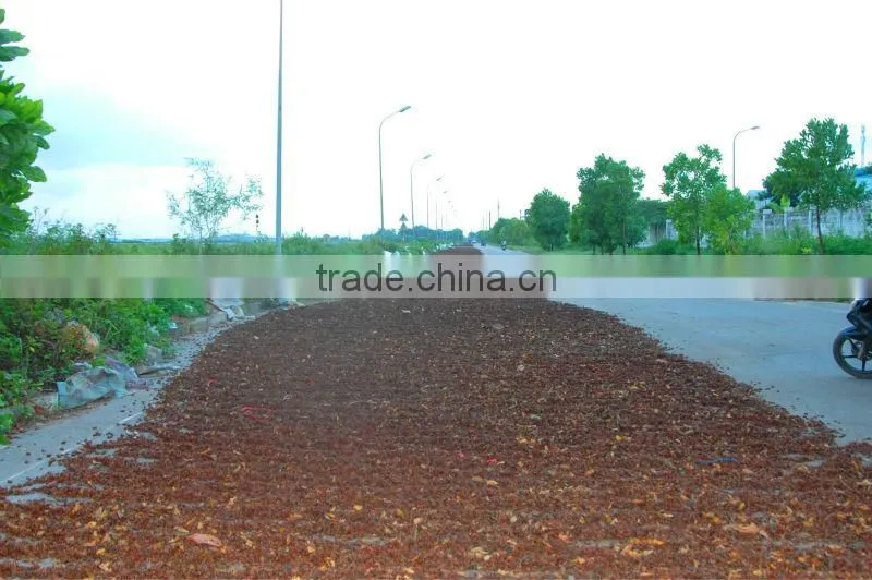 HIGH QUALITY STAR ANISEED AUTUM CROP AND SPRING CROP (skype:tuanminhco)