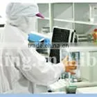 2016 Free Samples Freeze Dried Banana Factory Supply Low Price