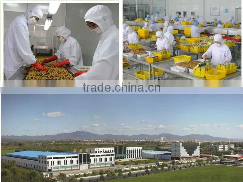 Chinese organic roasted chestnuts, snack foods