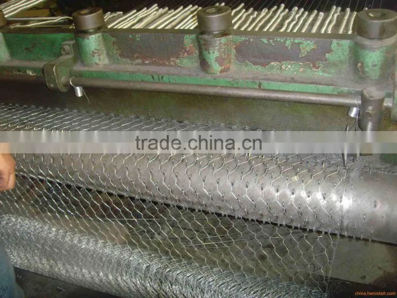 high quality galvanized chicken wire netting hexagonal wire netting poultry mesh