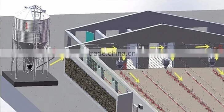 hot sale broiler breeder chicken poultry breeding houses