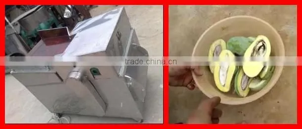 cheap price fresh mango cutting machine