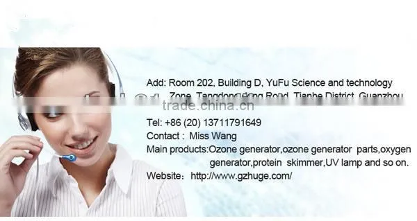2013 Hot sales home use blue 5g ozone generator