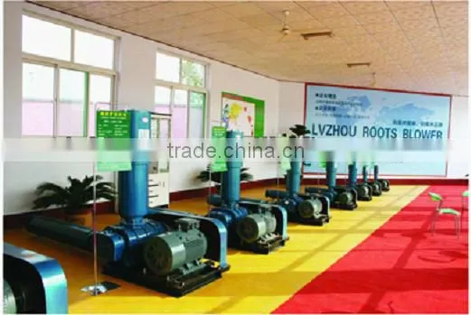 Roots vacuum pump MADE IN CHINA