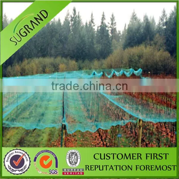Agriculture Plastic Bird Net Orchard Bird Netting