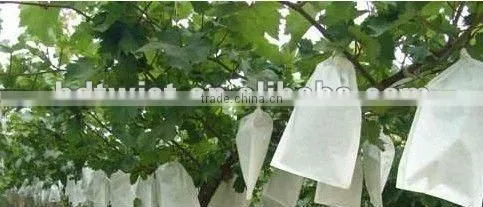 paper fruit protecting bag for grape