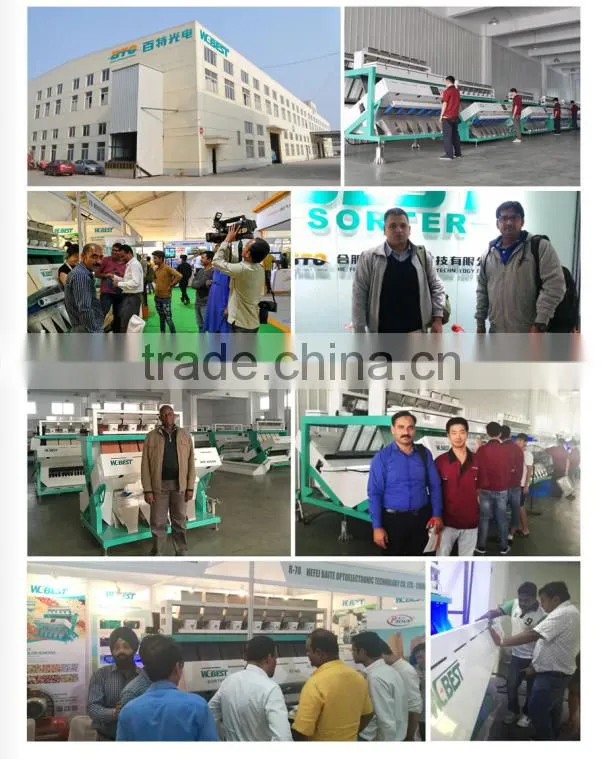 Mung Bean CCD Color Sorter