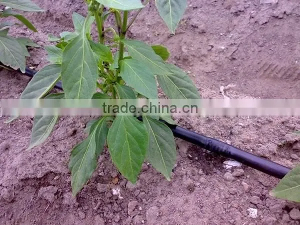 High quality PE farm irrigation system inergral water drip line