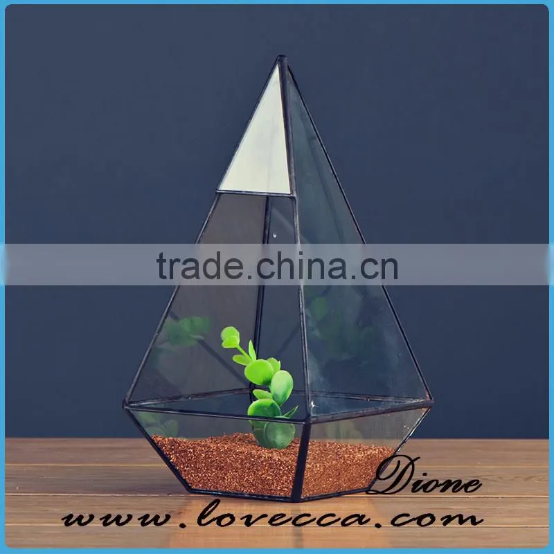 Glass cube shaped terrarium hanging geometry glass terrarium