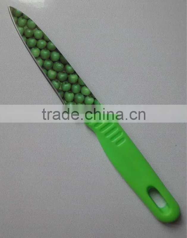 non-stick fruit knife with sheath