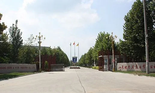 Shandong Buoy And Pipe Industry Co., Ltd company overview - view 1