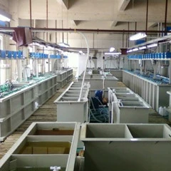 Shandong Xinchi Energy Technology Co., Ltd company overview - view 3