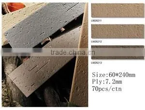 porcelain wall tile