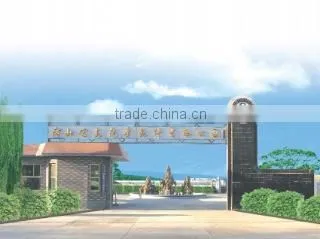 Hebei Hongan Automobile & Motorcycle Fittings Co., Ltd. company overview - view 1