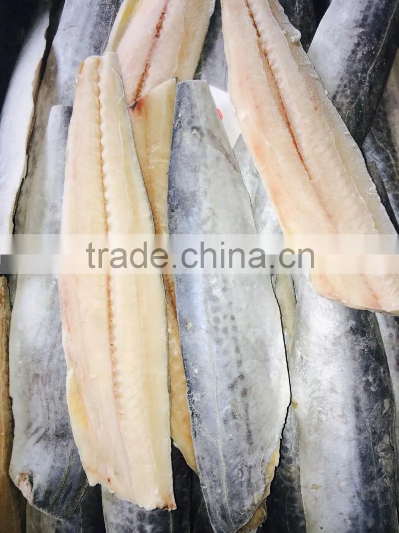 IQF Spanish Mackerel fillet,Skin on ,Cutted