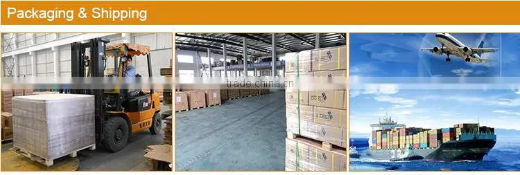 China factory OEM quality hot selling A-4999 racing brake discs, brake disc/rotor, auto parts with certificate