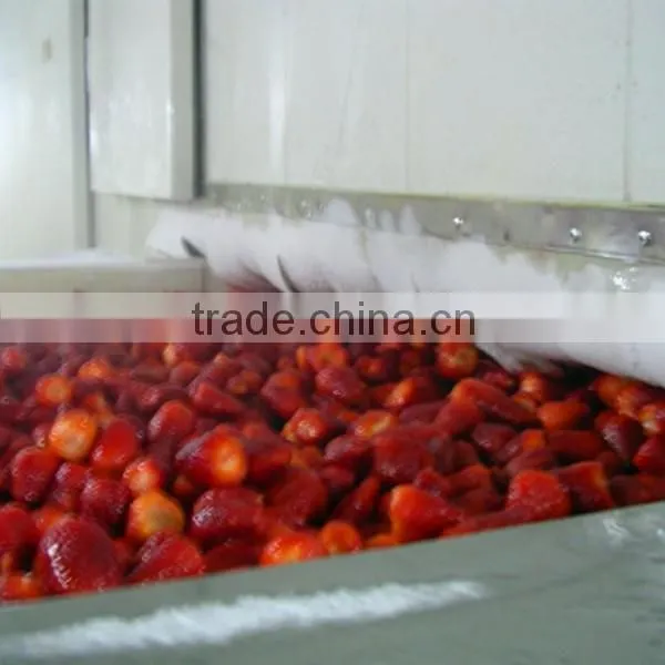 PE bag packing IQF frozen strawberry from Liaoning
