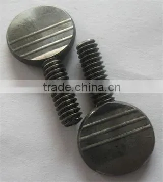 Large Flat Head Screws